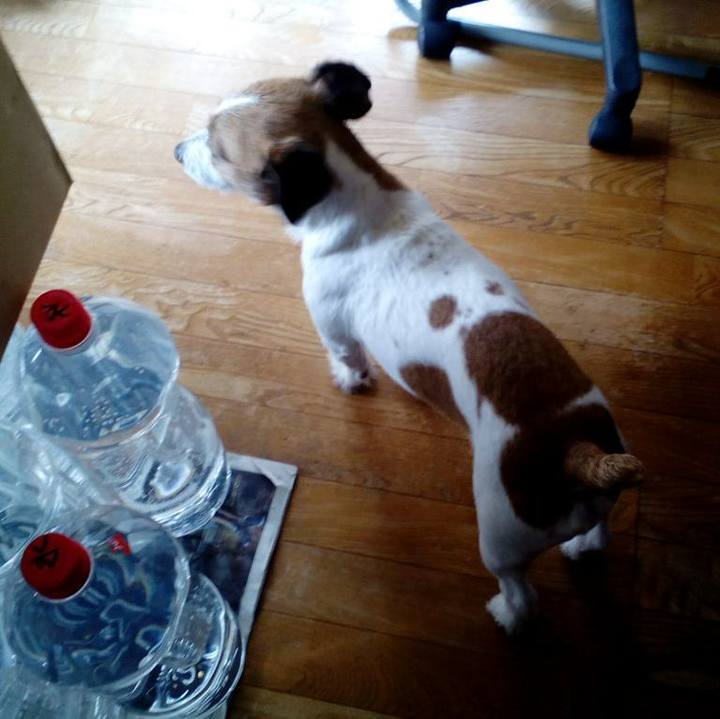 15074d2a 66ae 4d1c 856d 7c1dcd82bd19