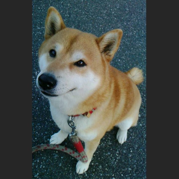 150782fa a431 487a ab90 87691b5dc700