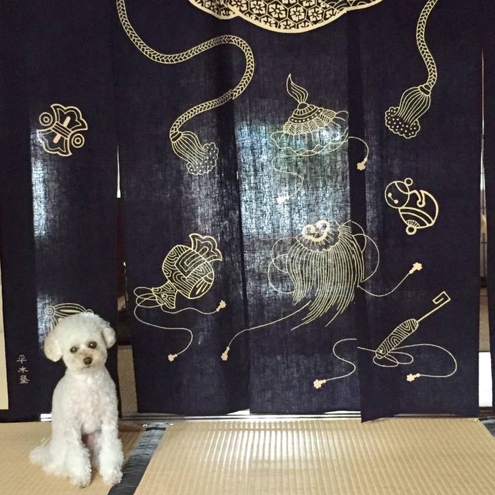 1507d44b 5c0c 4e3e 88e2 51ba515d0d30