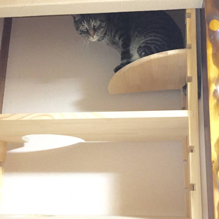 1508222a ed25 4bab 8387 f73f0e27a401