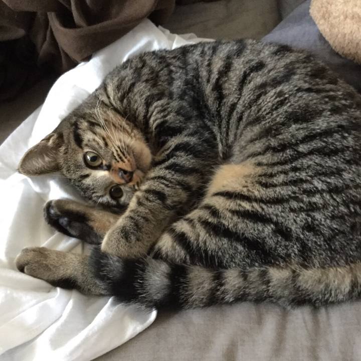 1508336f ff35 47bf a8a3 db1e8660a14c