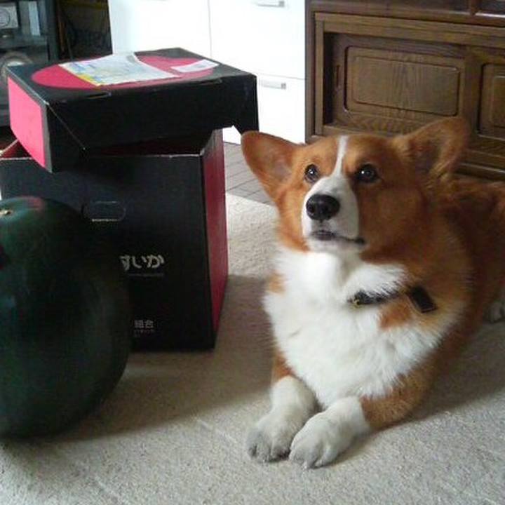 150839f7 67b5 47b4 831c a229bc8d688a