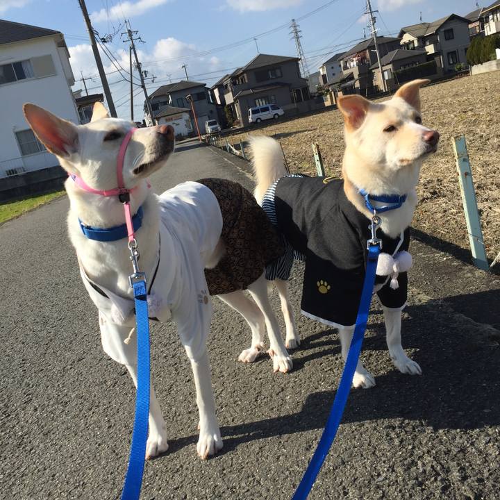 1508cd82 9d23 4081 b4a7 dee7ecb56968