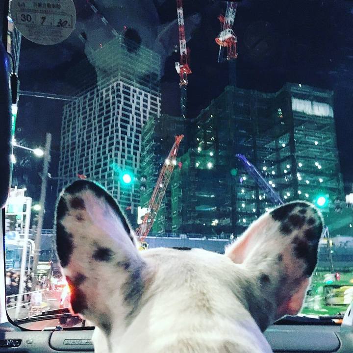 1509c0a7 b779 40cc b08b d021469a4e56