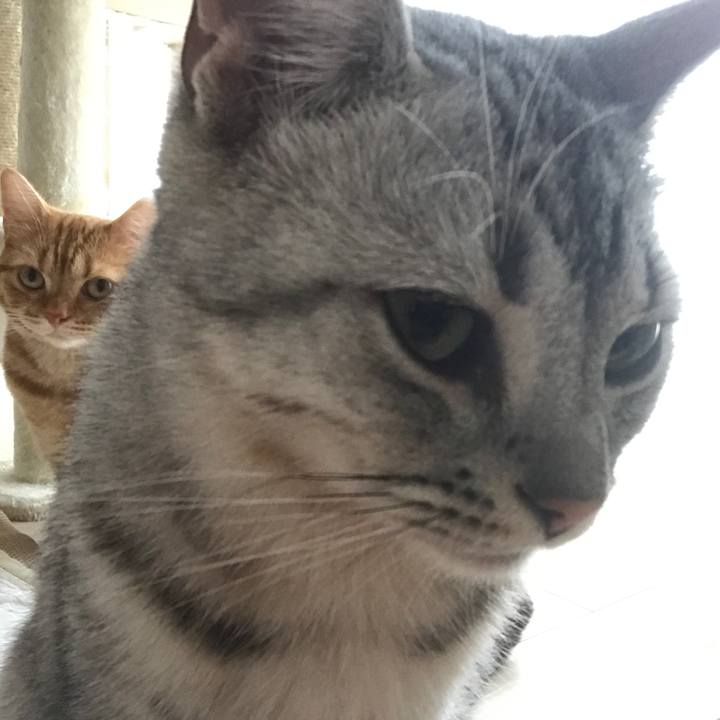 150a70e9 343c 48a8 88d6 ad0af271c288