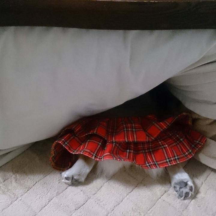 150ad53c 6367 408e a278 56a188648550