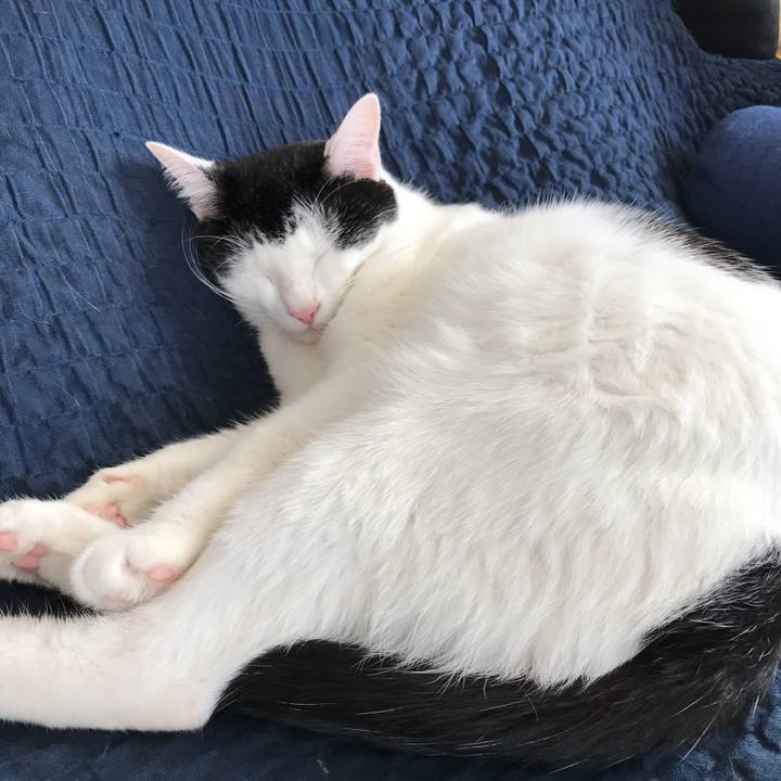 150aee2f a27d 43a4 b4e0 35bfe111d48a