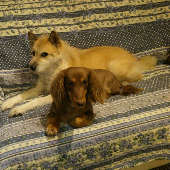 150b2018 9b81 4fcb a406 9081512d5966