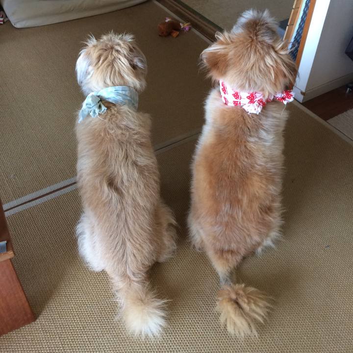 150b9e08 3765 4c2e 89c6 b6fd3b2f399a