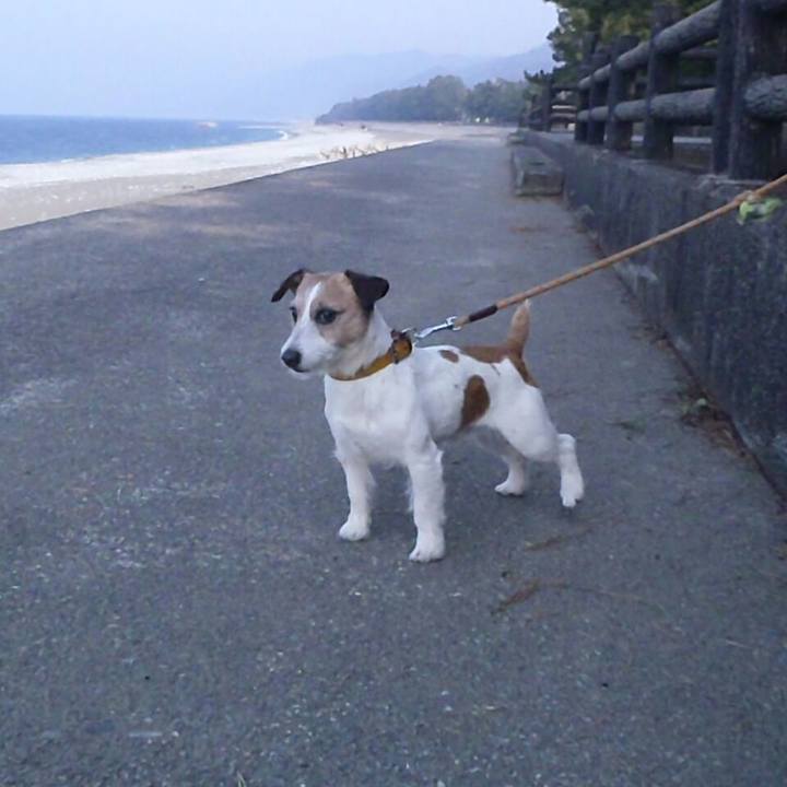 150c7e29 5fec 46be 842b 9884ef98e6f0