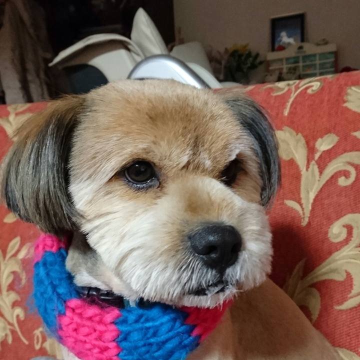 150c7fd9 25f9 4e2b b287 8fea507e8133