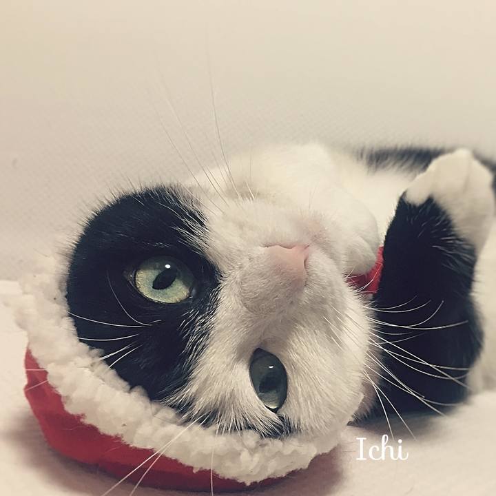 150caa2e 7372 4886 9f2e e7cd87c35254