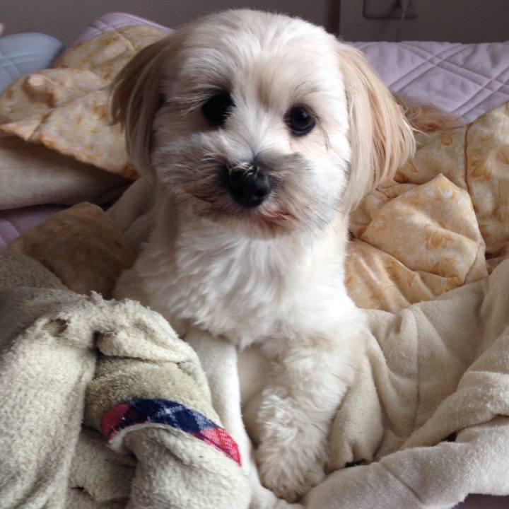 150dd06e a630 4897 9740 7f9e1c09aca2