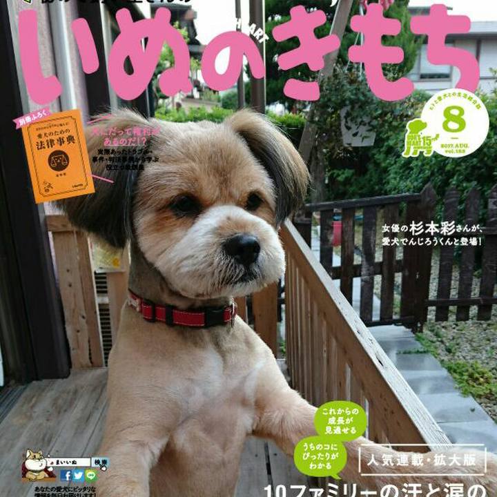 150de7be 6fea 4385 b1ab 9c7e3d1d436d