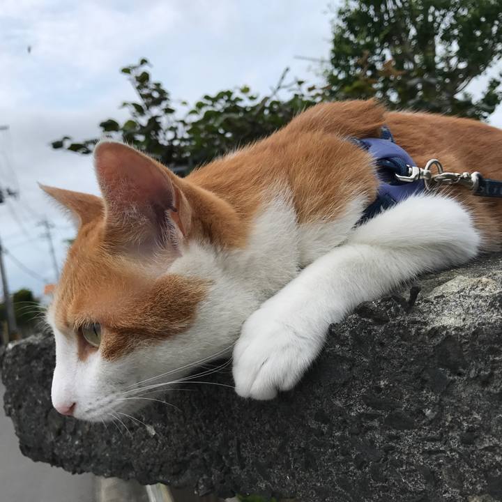 150e42a1 03b0 47b0 b736 7d939119fdf4