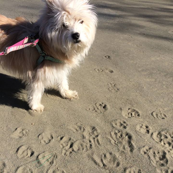 150e9674 f9f7 4758 b111 38d8ca046b63