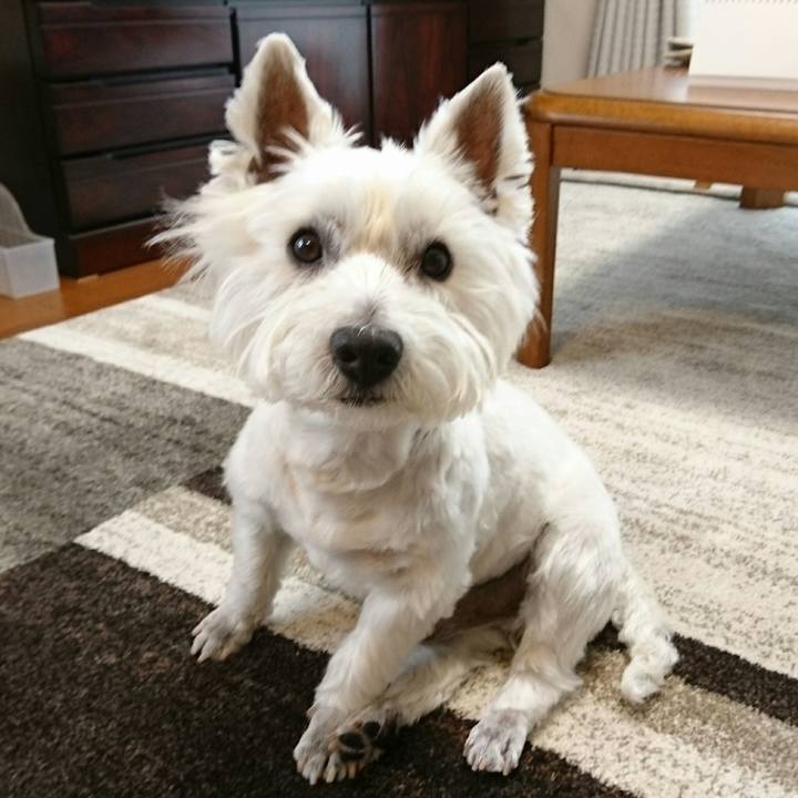 150edd7a a559 49f7 af72 a8691f2d6f0f