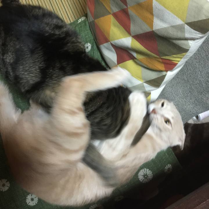 150f72ca 35f5 4316 ad7a 58d8d83b4e4f