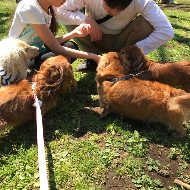 150f7cf3 0c33 4444 8aae be3c0c3f9691