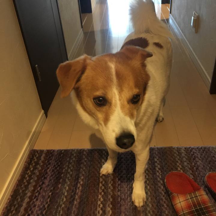 150fb521 ed47 4cff bb05 dde6ed4e8840