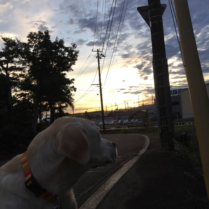 150ffc6c 6951 4e67 8506 8a79edc35185