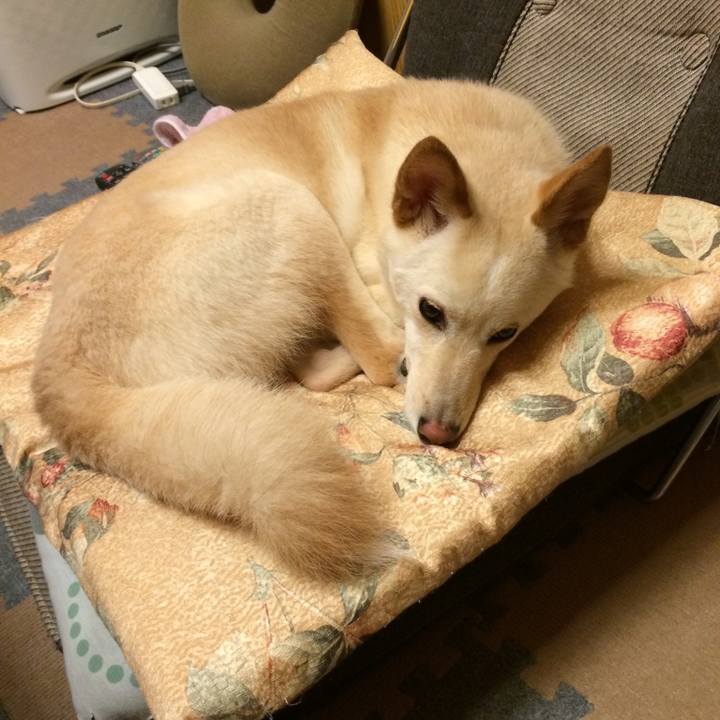 15109dd0 d1eb 4a66 940f a18bb8141343