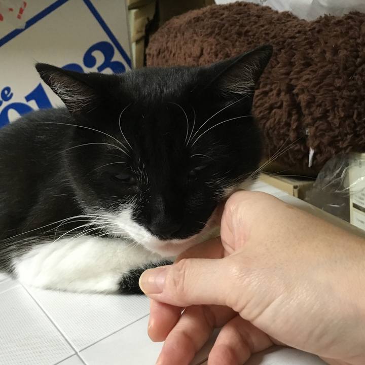 15127dc8 e39a 40a6 8360 181e690f39e8