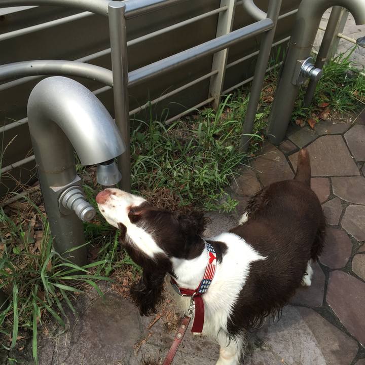 1512a710 6870 469f 8a16 fe4d4ca0d053