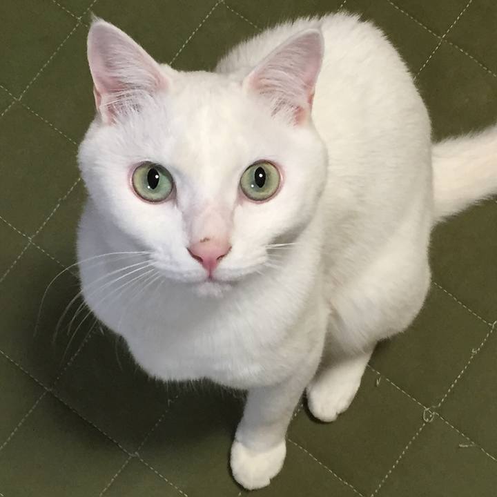 1512dab2 b33b 43b9 a73c 2fc883d28cd1