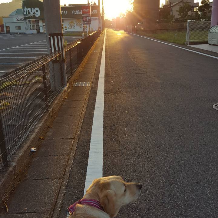 1512dee3 4a98 4ace 96af 408d09a01bc5