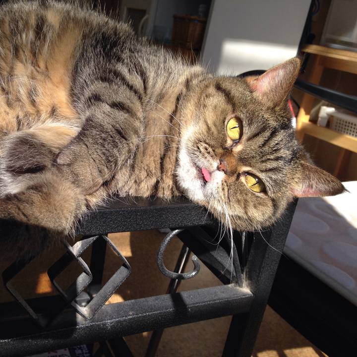 1512eb86 4bd3 4f42 a2fe abb225f1bea7