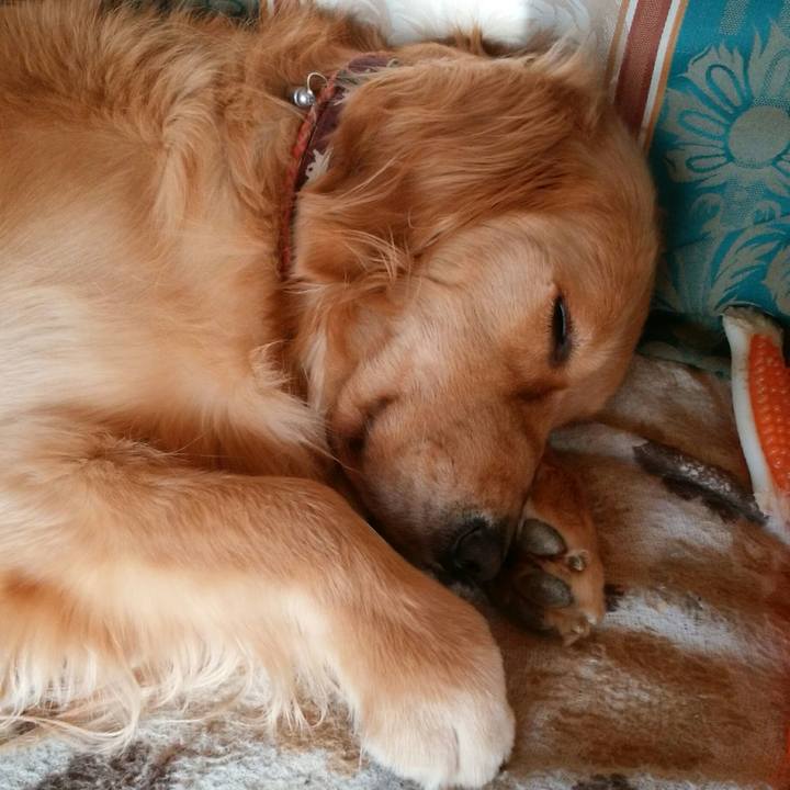 15131fcc e98d 4406 8d7c 6ee6a0b5f4b7