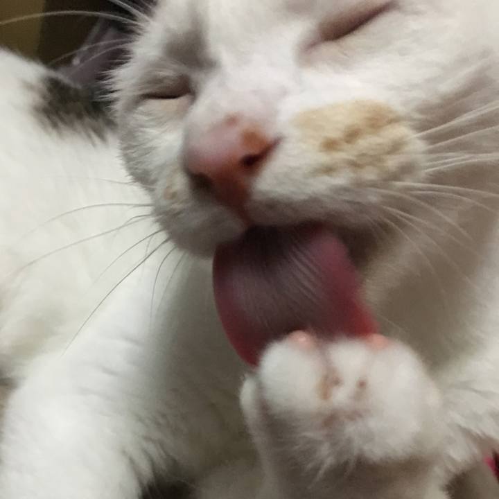 15135b11 af2a 48b2 836a a9a43a37a0f9