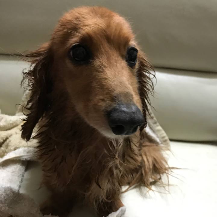 15139bcc 49a4 431f 9c43 cdb30b74f9c2