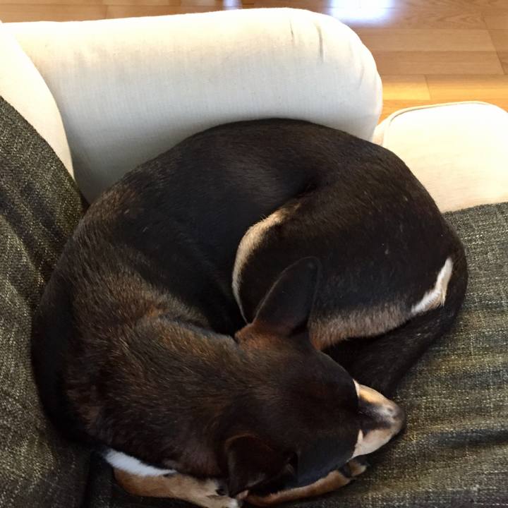 151480d1 6287 4a93 826b 9b618428a160