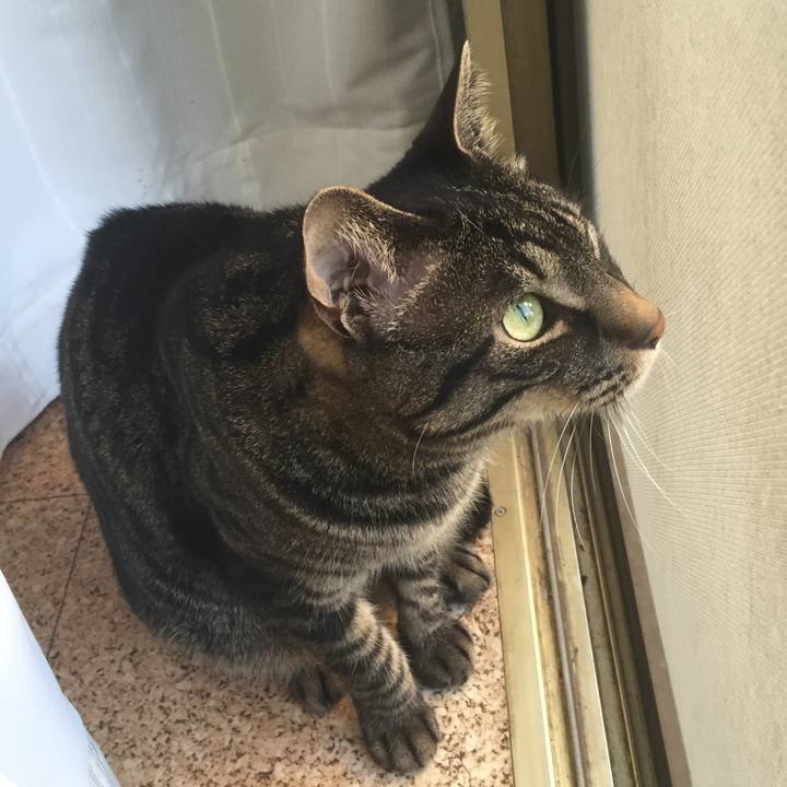 1514e343 751e 4612 9500 79c7fe36dc15