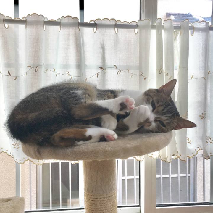 1514ff05 3530 40f9 aa73 f37b0bc02af6