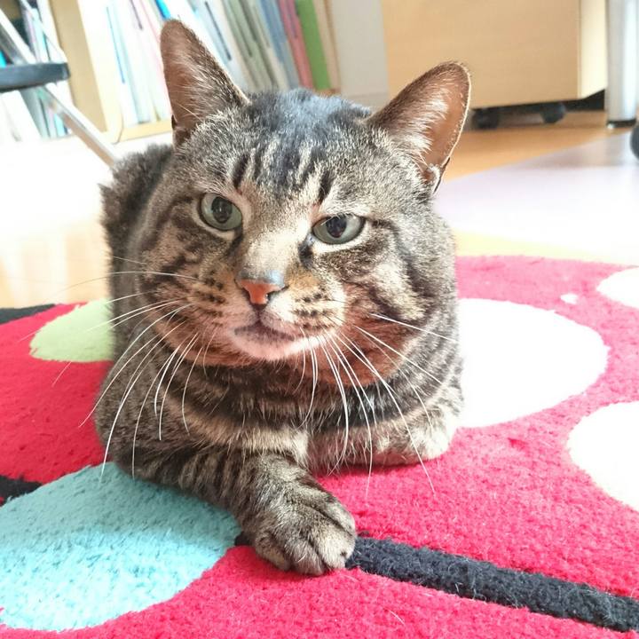 151555c9 55e0 41dd a2eb 5f1d6ddbc6ab