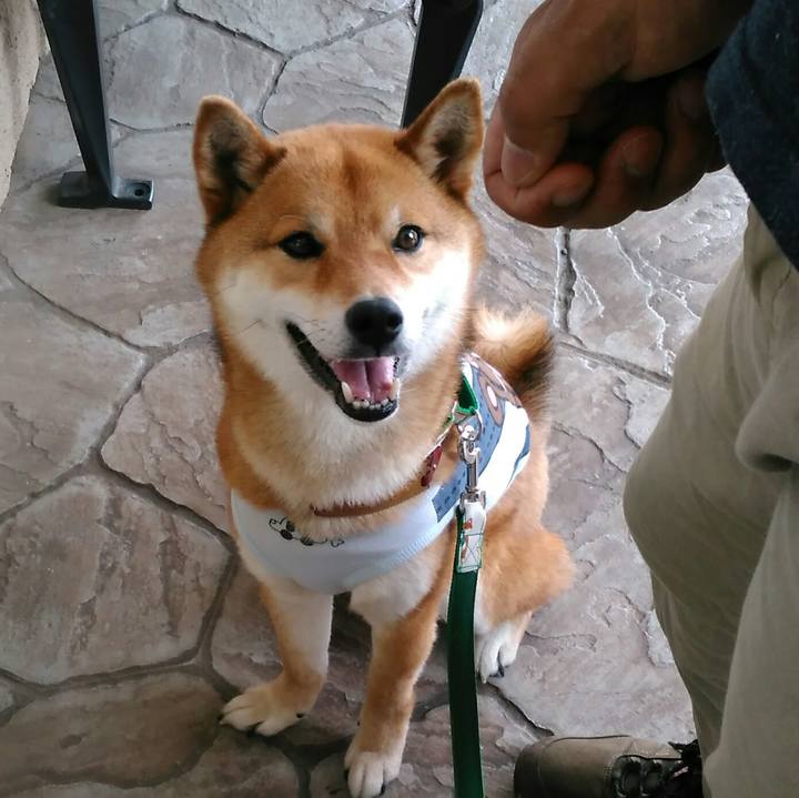 15157ba8 2408 4ed2 915d a7f871a5bd42