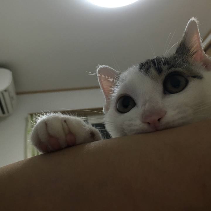 15158864 1f7e 4437 b431 3d7e35529176