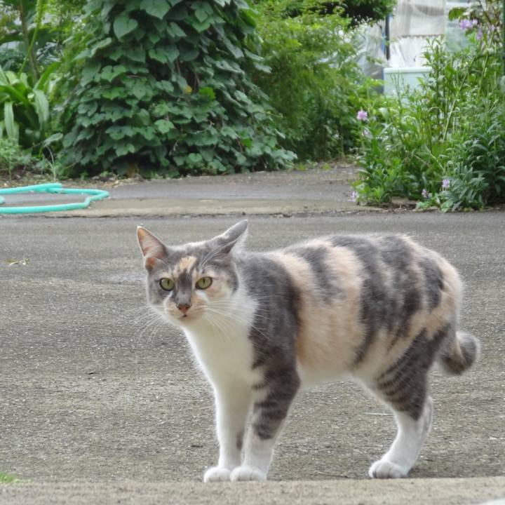 1515c819 e9d9 43d1 ab63 d9c6aa9d6dc3