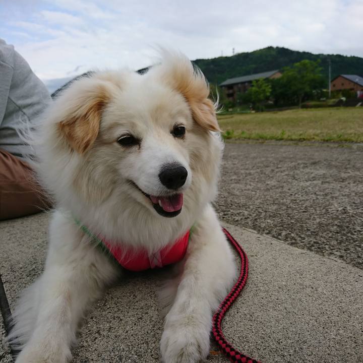 15160558 5c4b 448d b585 c75ed68ad7f0