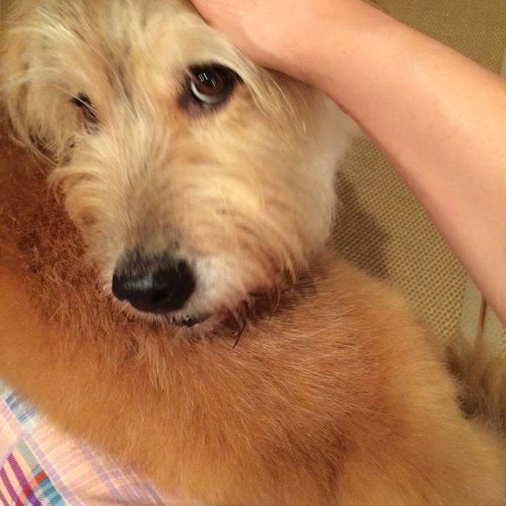 15162691 7a05 4b78 85d7 045bcce7209a