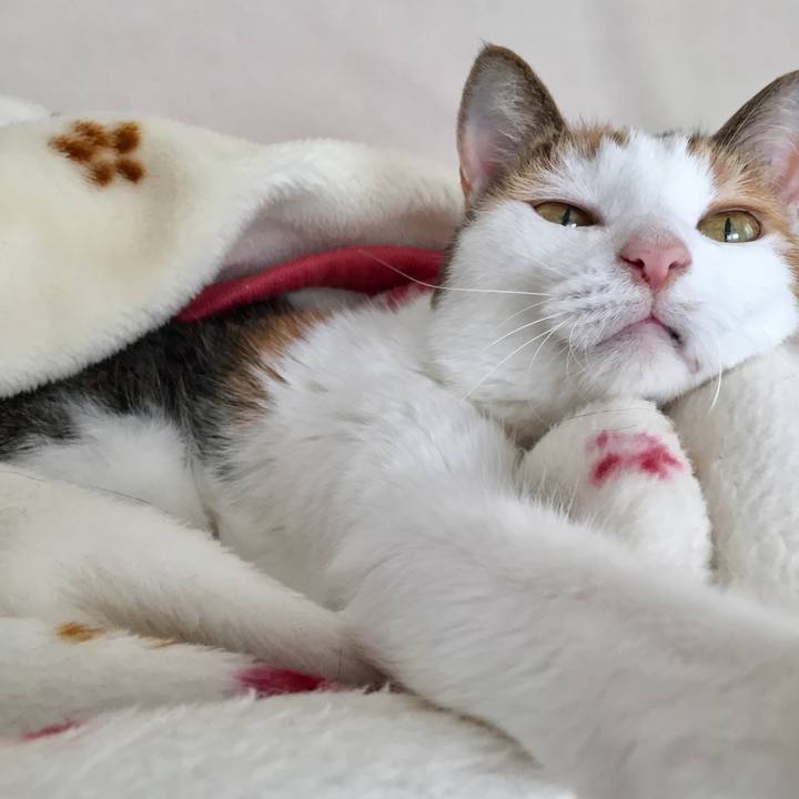 15167676 514a 4b3f 82c5 b1148565e19f