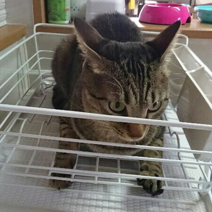 1516ff13 c5a4 4fbd 9a47 5f1001ea3b19