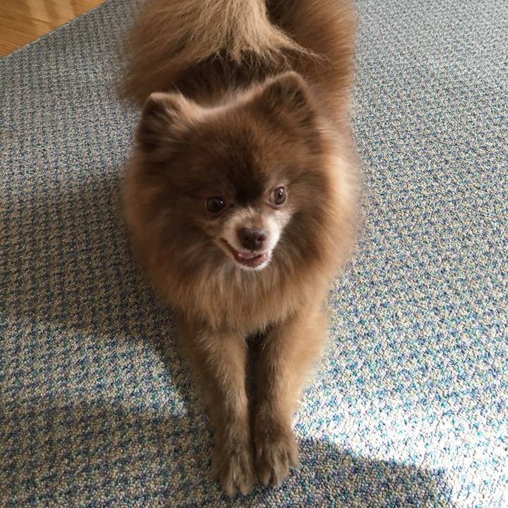 1517169f ef46 413d b6b0 be3cf31f975b