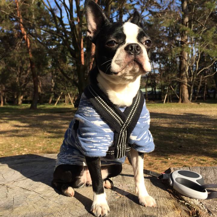 15176925 4777 4863 997f 0b34ce153acb