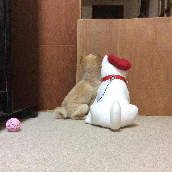 15176927 acad 4a49 b35a abe3f95ed99a