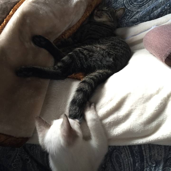 1517e7ad 31ad 43b8 8f1b c0cb4006ec23