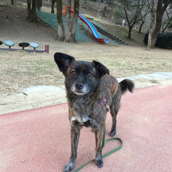 1517e9cc cadf 4c1b 80dc 8fb1d80f1504